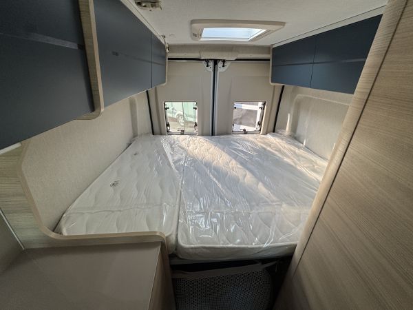 V594 First Line 2026 (Automatique)