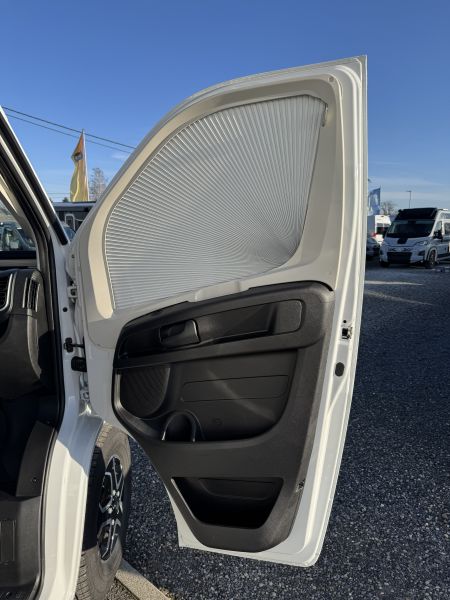 V594 First Line 2026 (Automatique)