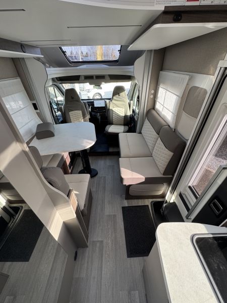 Cocoon 483 2026 (Automatique)