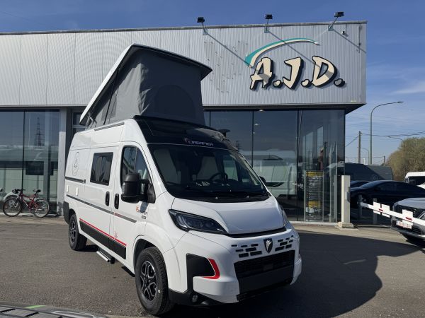 D43 UP 20 ANS 2026 (Automatique)