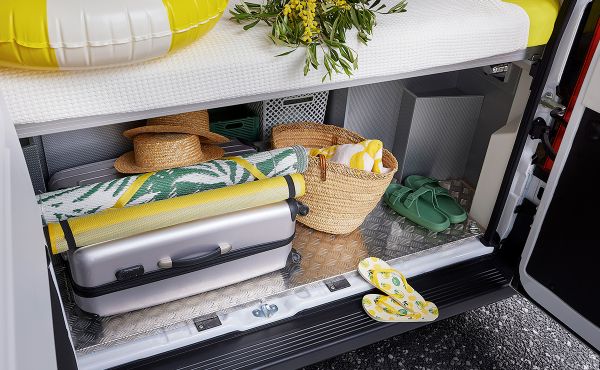 D43 UP 20 ANS 2026 (Automatique)