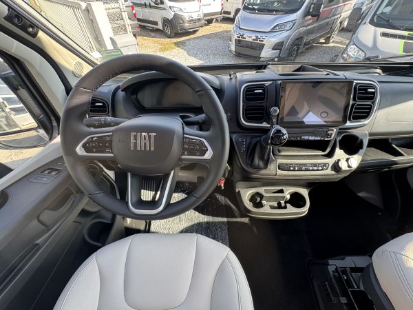 D43 UP 20 ANS 2026 (Automatique)