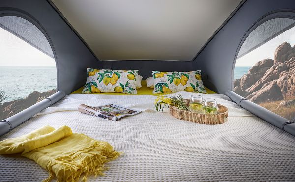 D43 UP 20 ANS 2026 (Automatique)