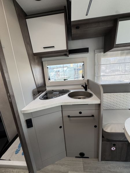 Cocoon 497 2026 (Automatique)