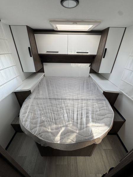 Cocoon 497 2026 (Automatique)