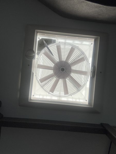 Cocoon 497 2026 (Automatique)