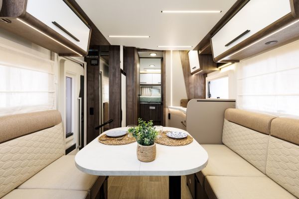 Cocoon 497 2026 (Automatique)